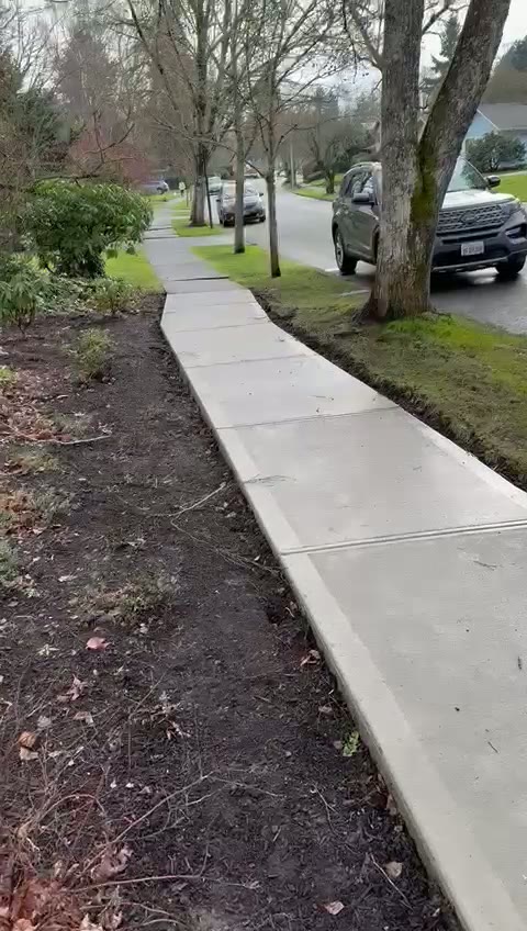 Engineered Hardwood Walkthrough